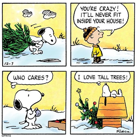 Christmas Comic Strip, Snoopy Christmas Quotes, Peanuts Cartoon Quotes, Peanuts Snoopy Comics, Snoopy Comics, Christmas Comics, Snoopy Cartoon, Peanuts Comic Strip, Snoopy Funny