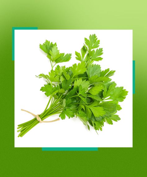 Natural Abortive Methods, Parsley Tea, Kidney Damage, New Character, Orange Is The New, Parsley, Home Remedies, Natural Hair, Need To Know