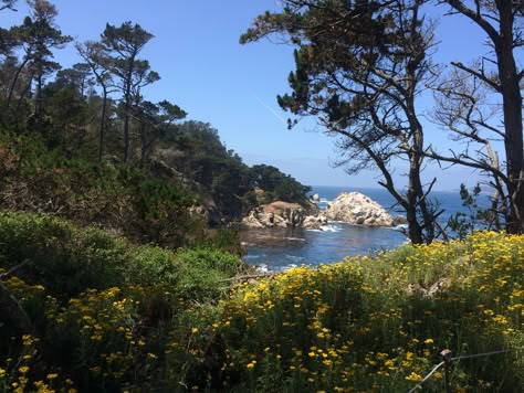 Point Lobos State Park, Monterey Bay, CA Monterrey Bay, Pch Road Trip, Nostalgic Summer, Pretty Scenery, Nice Houses, Where To Live, Nature Vibes, Monterey California, Pretty Life