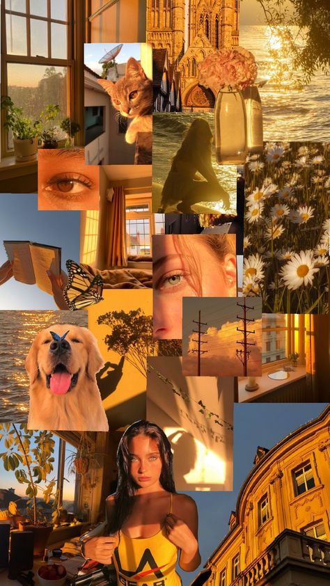 Golden hour ✨ #goldenhour #golden #aesthetic #goldenhouraesthetic Golden Hour Kitchen, Golden Hour Birthday Party, Golden Hour Party, Travel Views, Golden Aesthetic, Golden Hour Aesthetic, Hour Aesthetic, Kay Kay, Cozy Places