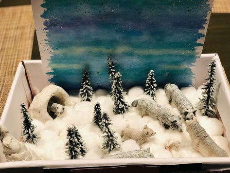 Kindergarten project Arctic Fox School Project, Arctic Wolf Diorama, Arctic Fox Project, Wolf Habitat Diorama, Artic Diorama, Diorama Arctic, Polar Diorama, Biome Diorama, Fox Habitat