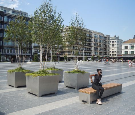 Streetlife: Steel benches and movable planters for public square 2 of 5 Movable Planter, Street Planters, Evergreen Ground Cover Plants, Pocket Garden, Tree Planters, Tree Box, Short Plants, Public Square, Public Realm