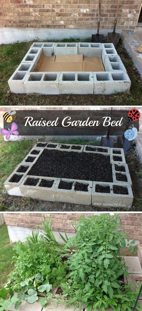 Garden Diy Decoration Ideas, Homestead Diy, Garden Ideas Diy Cheap, Cinder Blocks, Plants Growing, Whimsical Garden, Garden Bed, Easy Garden, Edible Garden