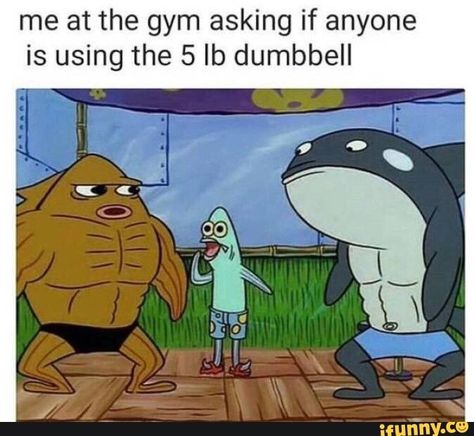 me at the gym asking if anyone is using the 5 lb dumbbell – popular memes on the site iFunny.co Gym Memes Funny, Fitness Memes, Ghost World, Workout Memes, Gym Memes, Spongebob Memes, Fresh Memes, Gym Humor, Star Citizen