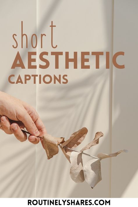 Find the best short aesthetic captions for Instagram that are simple, sassy or cute. Perfect for that vintage or selfie ig post or for a best friend insta story. Aesthetic Ig Captions Short, Best Friend Insta Story, Friend Insta Story, Short Aesthetic Captions, All The Best Aesthetic, Caption For Friends Photo, Cute Photo Captions, Beautiful Captions For Instagram, Cute Short Captions