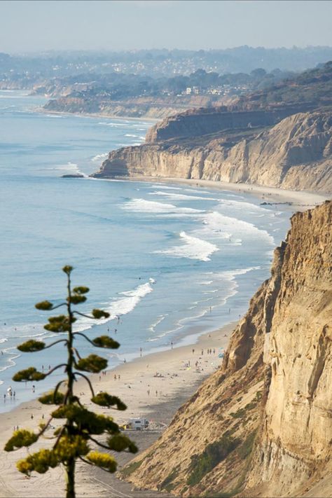 Discover 12 of the best day hiking trails near San Diego, California, including Cowles Mountain, Torrey Pines State Reserve, and Cuyamaca Peak. San Diego Camping, Plum Cobbler, Summer Homescreen, Torrey Pines State Reserve, Cali House, Eyes Poster, Bug Eyes, Malibu Rising, California Life