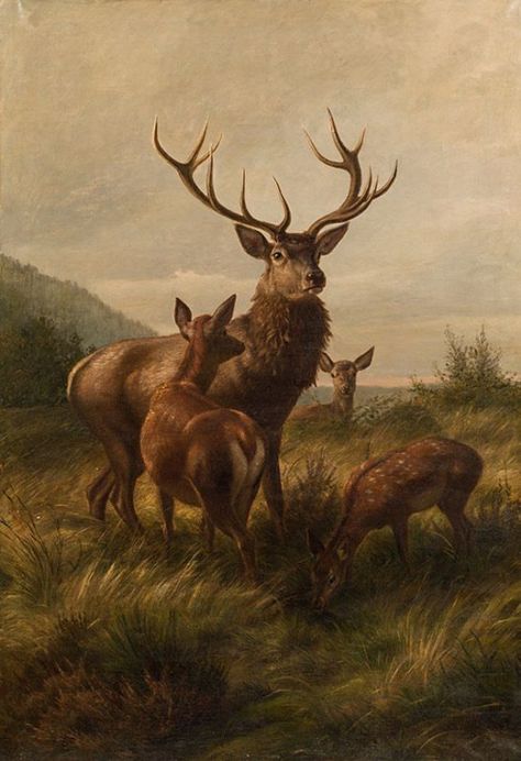 Carl Friedrich Deiker (1836-1892) - Red deer, oil on canvas, 190 x 130,5 cm. Che Guevara Art, Deer Illustration, Deer Painting, Image Nature, Deer Art, Red Deer, Old Paintings, Amazing Art Painting, Painting Wallpaper