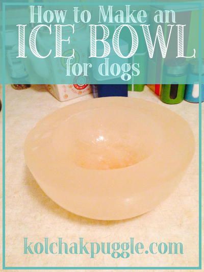 On a hot day, Koly and Fe LOVE a flavoured ice bowl. Not only does it keep your dog's water cold, as the day gets hotter, more of the flavoured ice melts encouraging them to drink more and stay hydrated! Ice Bowl, Dog Water Bowls, Dog Recipes, Dog Treat Recipes, Pet Hacks, Hot Day, Water Bowl, Pet Treats, Homemade Dog