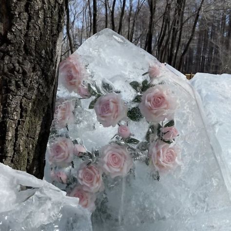 pink christmas winter aesthetic coquette Winter Princess, Snow Princess, Pink Snow, Winter Fairy, Snow Angel, Ice Princess, Snow Angels, Winter Aesthetic, Flower Bracelet