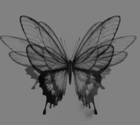 Black And White Butterfly, 심플한 그림, Tattoo Zeichnungen, Image Nature, Aesthetic Tattoo, White Butterfly, Tattoo Design Drawings, Butterfly Wallpaper, Creative Tattoos