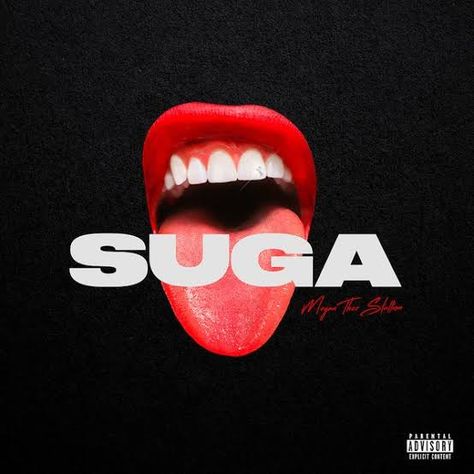 SUGA Rap Album Covers, Cd Design, Cool Album Covers, Thee Stallion, Bedroom Wall Collage, Rap Albums, Iconic Album Covers, Megan Thee Stallion, Music Album Covers