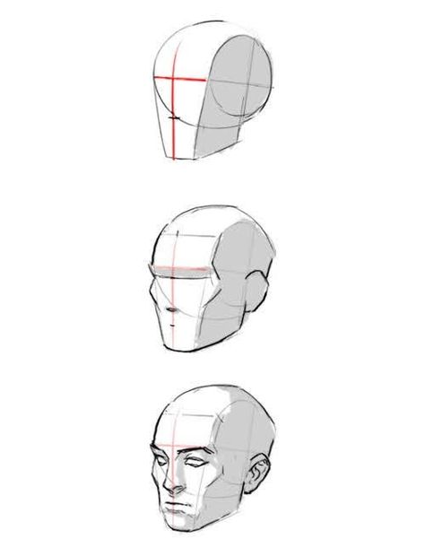 Drawing The Human Head, Head Anatomy, 얼굴 드로잉, Drawing Tutorial Face, Human Anatomy Drawing, 얼굴 그리기, Drawing Heads, Human Anatomy Art, Human Drawing