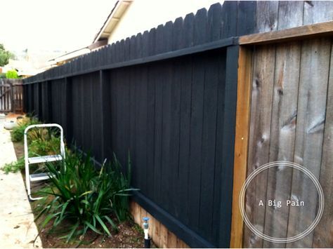 Behr's 'Slate' stain for the fence Grey Stained Wood Fence, Gray Fence Stain, Gray Fence, Black Fences, Fence Colors, Fence Colours, Fence Stain, Black Fence, Front Yard Fence