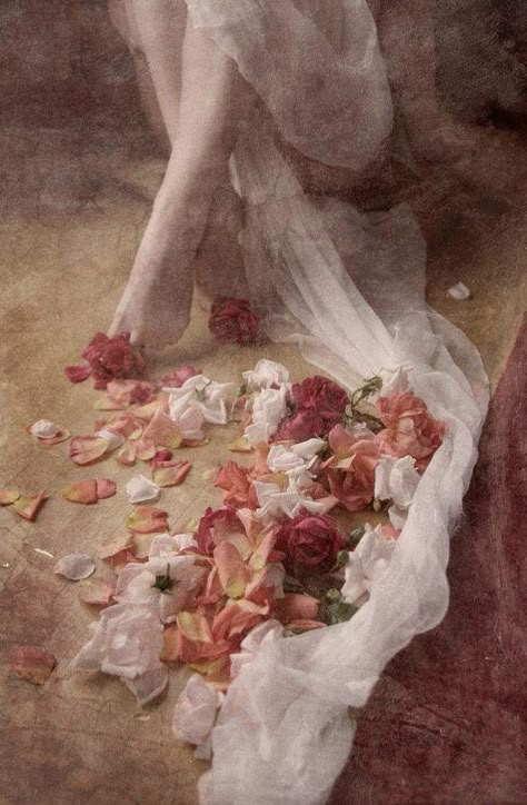 Woman's legs & flower petals on floor art Istoria Artei, Ethereal Art, Art And Illustration, Classical Art, Aphrodite, Rococo, Classic Art, Aesthetic Art, Art History