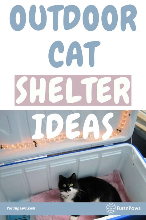 Outdoor Cat Shelter Ideas Outdoor Kitty Shelter, How To Make A Feral Cat Shelter, Feral Cat Shelter Diy, Feral Cats Shelter, Homemade Outdoor Cat Shelter, Diy Heated Cat House, Feral Cat Shelter Winter Diy, Tire Cat House Outdoor, Outdoor Cat Shelter Diy Winter