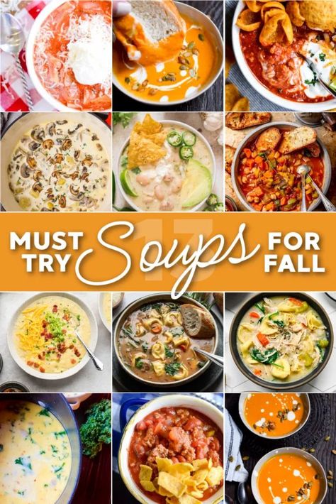 Explore this delicious and savory collection of 13 Must-Try Autumn Soup Recipes to keep you warm all season long. Autumn Soup Recipes, Convenient Dinner, Autumn Soup, Best Potato Soup, Chicken Tortellini Soup, Creamy White Chicken Chili, Chicken Tortellini, Fall Soup Recipes, Slow Cooker Chili