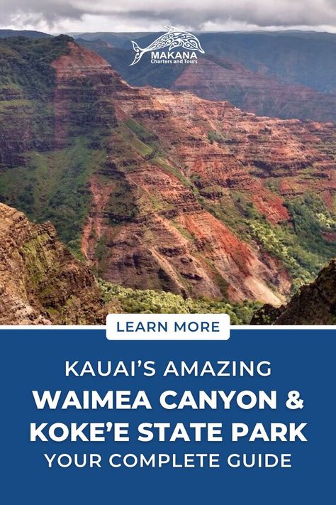 Looking for an unforgettable Hawaii adventure? Waimea Canyon and Koke'e State Park is a must on your Kauai vacation and this local's guide full of Kauai travel tips will make for an easy experience. Discover unforgettable Kauai activities including Kauai hiking trails, stopping at scenic overlooks as well as what you need to know and bring to Waimea Canyon & Koke'e State Park. Read now at Makana Charters to start planning your Hawaii adventure! | kauai travel Kauai Hiking, Hawaii Mountains, Kauai Activities, Hawaii Family Vacation, Hawaii Trip Planning, Hawaii Hikes, Kauai Travel, Kauai Vacation, Hawaii Adventures