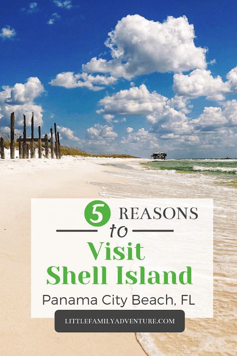 Shell Island Florida, Shell Island Panama City, Dance Nationals, Pcb Florida, Panama Trip, Florida Gulf Coast Beaches, Beach Snorkeling, Beach Vacation Tips, Wild Dolphins