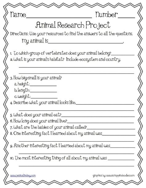 Research Project Template, Animal Report Template, Animal Research Project, Research Outline, Animal Research, Animal Report, Project Template, Third Grade Science, Research Writing