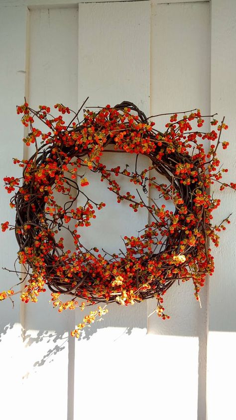 Vine Wreaths Diy, Bittersweet Wreath, Vine Wreaths, Bittersweet Vine, Vine Wreath, Entry Ways, Prim Decor, Warm Colour Palette, Wreaths Diy