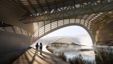 ennead architects nature reserve Interactive Spaces, Public Aquarium, Tree Photoshop, Yangtze River, China Image, Geothermal Heating, Construction Architecture, Site Plans, Organic Forms