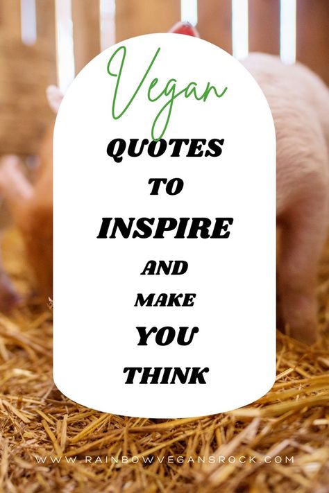 vegan quotes Vegan Quotes Positive, Vegan Sayings, Vegan Quotes Funny, Sustainable Living Quotes, Benefits Of Going Vegan, Sustainable Fashion Quotes, Vegan Lifestyle Inspiration, Vegan Funny, Reasons To Be Vegan