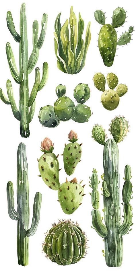 Cactus Aesthetic Drawing, Cacti Illustration, Aesthetic Flower Stickers Printable, Cactus In Desert Drawing, Cactus Garden Drawing, Desert Cactus Illustration, Cactus Species, Desert Artwork, Arizona Decor