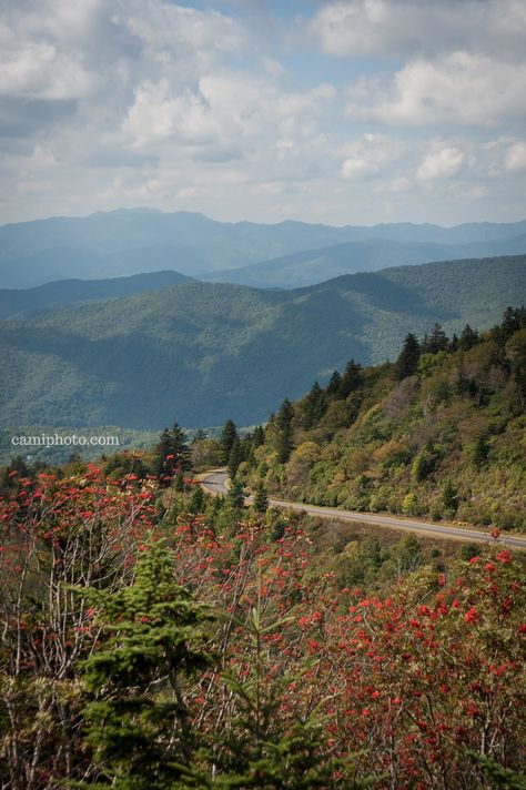 Cloudy view from the Waterrock Knob overlook located off the Blue Ridge Parkway near Maggie Valley, North Carolina. #waterrockknob #blueridgeparkway #blueridgemountains #maggievalley #nc #northcarolina #visitnc #appalachia #ashevillephotography #camiphoto Maggie Valley North Carolina, Maggie Valley Nc, Capcut Edit, Maggie Valley, Appalachian Mountains, Blue Ridge Parkway, Blue Ridge Mountains, Blue Ridge, Asheville