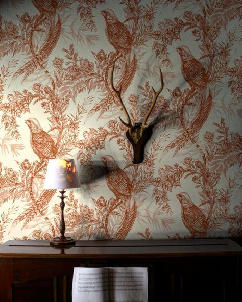 Hello autumn #pheasant #wallpaper #timorousbeasties Timorous Beasties wallpaper Bedroom Wallpaper Toile, Wallpaper Window Wall, Paint And Wallpaper Combo, Wallpaper Fireplace Wall, Pheasant Wallpaper, Walnut Wallpaper, Stag Wallpaper, Kitchen Wallpaper Design, Timorous Beasties Wallpaper