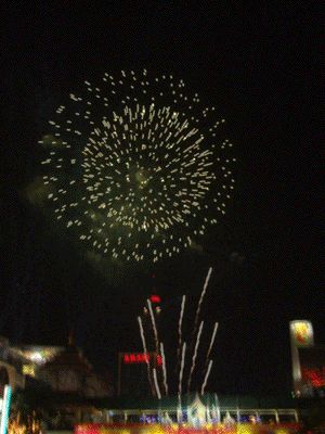 Firework(animation) | gif attached | HäschenliebeSchweinchen | Flickr Eid Mubarak Images Download, Animated Fireworks, Fireworks Animation, Fireworks Gif, Pretty Gif, Fireworks Pictures, Beach Bash, Eid Mubarak Images, Happy New Year Gif