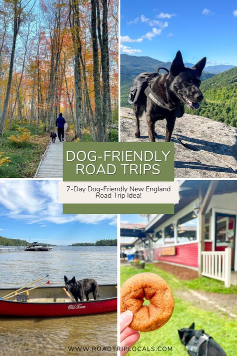 Dog Friendly Road Trip, Cross Country Road Trip With Dog, Nova Scotia Dog, Acadia National Park With Dogs, Dog Friendly New England, Dog Friendly New Hampshire, New England Day Trips, Acadia National Park Loop Road, Road Trip With Dog