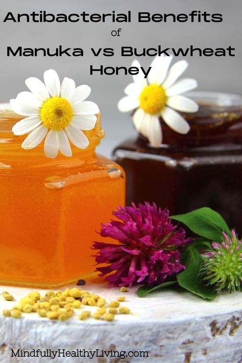 A close-up photo of two octagon shaped glass jars with a light-colored honey in one and a dark-colored honey in the other. They represent manuka honey and buckwheat honey. There is a white daisy placed in each jar and a purple and pink carnation and two more daisies placed surrounding the honey jars decoratively with bee pollen pellets in front of them. In black print at the top reads: Antibacterial benefits of Manuka and Buckwheat Honey. At the bottom reads MindfullyHealthyLiving.com Buckwheat Flower, Buckwheat Honey, Manuka Tree, Natural Medicine Cabinet, Types Of Honey, Honey Benefits, Herbal Healing, Holistic Nutrition, Manuka Honey