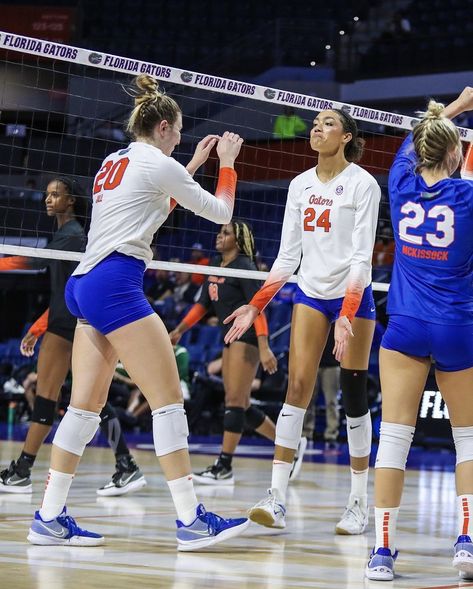 Florida Gators Volleyball, D1 Volleyball, Florida Volleyball, Volleyball Team Pictures, College Volleyball, Volleyball Photography, Volleyball Photos, Volleyball Clubs, Volleyball Inspiration