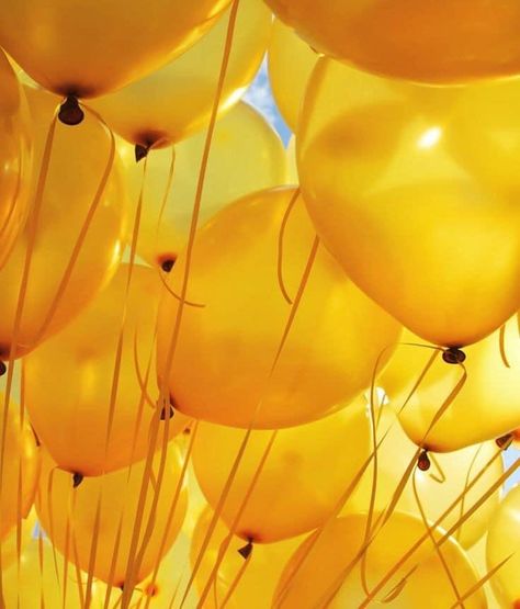 Floating In The Air, Yellow Aesthetic Pastel, Girly Wallpaper, Yellow Balloons, Yellow Theme, Color Vibe, Picture Collage Wall, Yellow Walls, Yellow Wallpaper