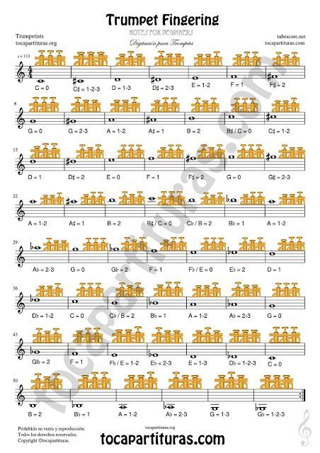 Trumpet Notes, Trumpet Fingering Chart, Chart Sheet, English Notes, Easy Sheet Music, Trumpet Sheet Music, Trumpet Music, Trumpet Players, Note Sheet