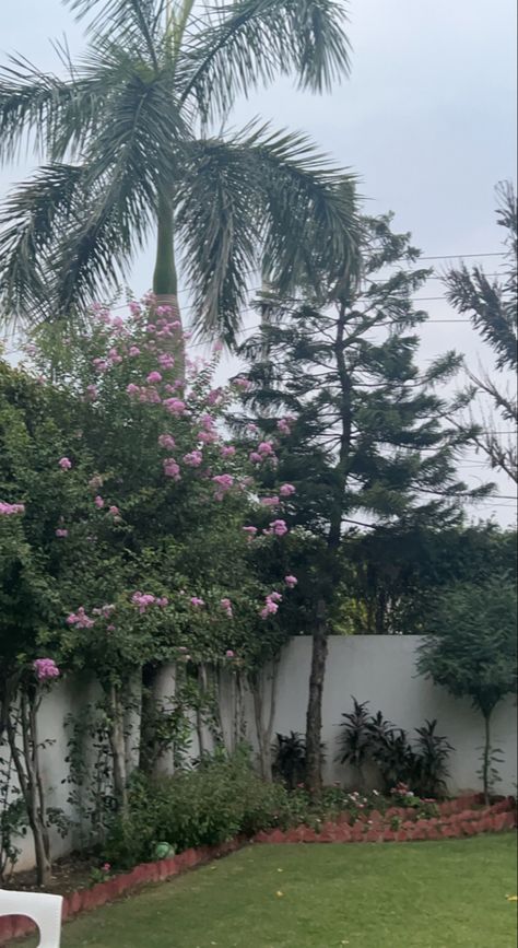 Farm Snapchat Story, Farmhouse Snap, Fake Aesthetic, Nature Quotes Beautiful, Excretory System, Mantra Tattoo, Good Night Story, Fairy Grunge Aesthetic, Indian Garden