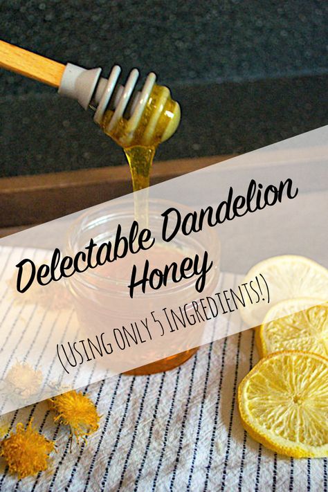 Turn those pesky "weeds" into wonderful honey with this easy recipe! You'll never look at dandelions the same! Uses For Dandelions, Dandelion Honey Recipe Easy, Dandelion Jelly Recipe Without Pectin, Dandelion Recipe, Dandelion Honey Recipe, Dandelion Ideas, Creative Canning, Dandelion Honey, Dandilion Tea