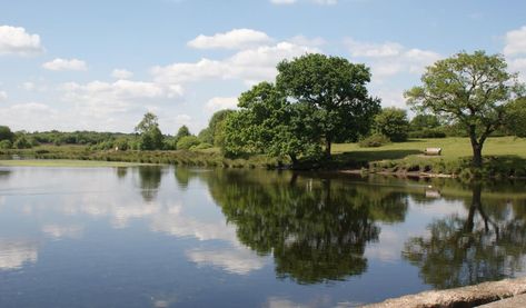 Aston Hall, 70s Inspiration, Sutton Park, Country Park, Urban Park, Formal Gardens, Train Tickets, Contemporary Photography, Nature Reserve