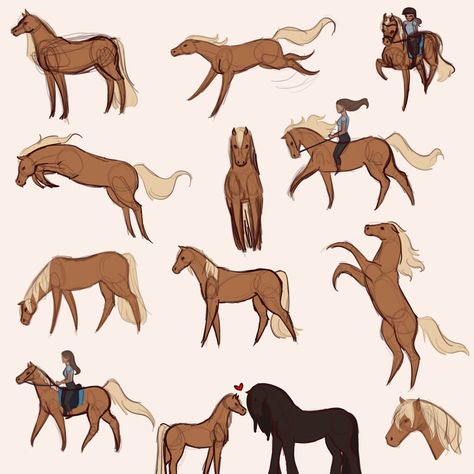 Horse Back Riding Drawings, Cartoon Horse Character Design, Horse Oc Drawing, Riding A Horse Drawing, Horse Base Drawing, Person Riding Horse Drawing Reference, Horse Poses Drawing, Horse Reference Drawing, Cartoon Horse Drawing