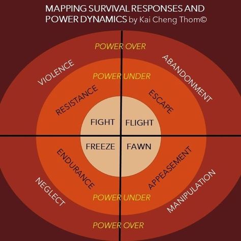 Polyvagal Theory, Survival Skills Emergency Preparedness, Power Dynamics, Social Intelligence, Appeasement, Emergency Preparedness, Survival Skills, Instagram Repost, Our Body