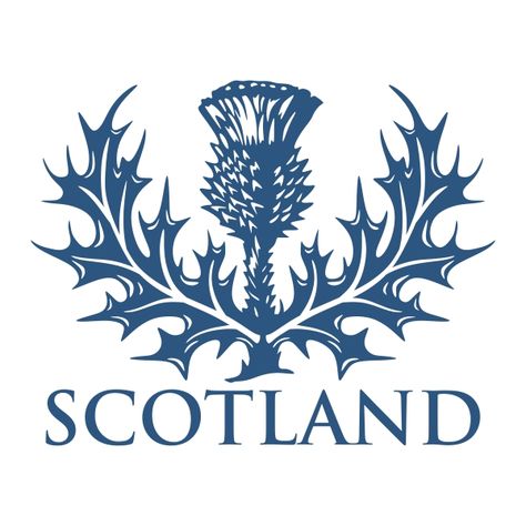 Scottish Illustration, Thistle Silhouette, Outlander Svg, Thistle Illustration, Scottish Thistle Art, Scottish Thistle Tattoo, Thistle Scotland, Scottish Tattoos, Scotland Thistle