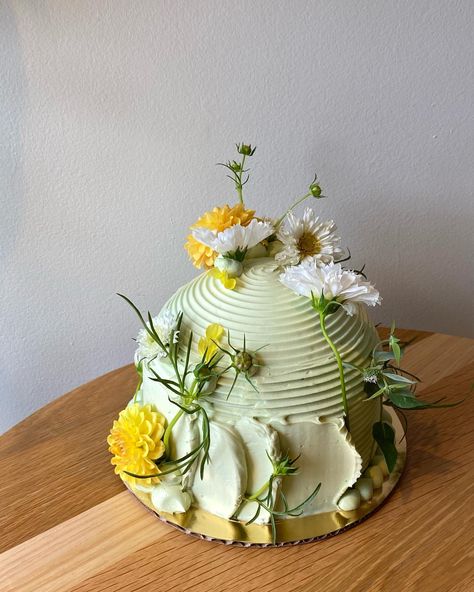 two green dome cakes from the last day @bramblebakes. I have a ton of bts photos & videos from the last three years but we’re not going to… | Instagram Dome Shaped Cake, Green Flower Cake, Pond Cake, Dome Cake, Nature Cake, Baking Aesthetic, Green Dome, Green Cake, My Plate