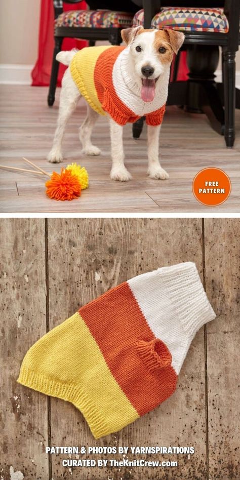 8 Free Warm Dog Coat Knitting Patterns | The Knit Crew Large Dog Sweater Knitting Patterns Free, Knitting Patterns For Dogs, Dog Knitting, Dog Jacket Patterns, Knitted Dog Sweater Pattern, Knitting Patterns Free Dog, Large Dog Sweaters, Dog Coat Pattern, Small Dog Coats