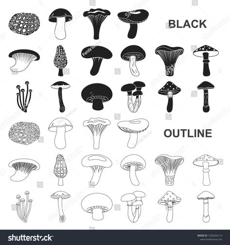 Poisonous and edible mushroom black icons in set collection for design. Different types of mushrooms vector symbol stock web illustration. icons#set#collection#black Different Types Of Mushrooms, Types Of Mushrooms, Poisonous Mushrooms, Web Illustration, Edible Mushrooms, Business Flyer, Royalty Free Photos, Icon Set, New Pictures