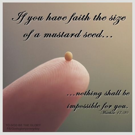 Faith the size of a mustard seed Mustard Seed Faith Quote, Seed Quotes, Mustard Seed Faith, Faith Quote, Garden Quotes, Faith Prayer, Keep The Faith, Bible Knowledge, Bible Verses Quotes Inspirational