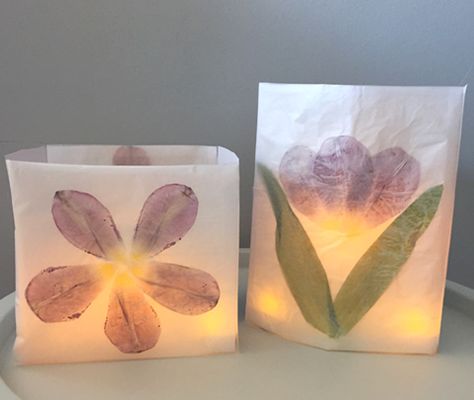 Candle Impressions Flameless Candle Blog : Wax Paper Luminaries Paper Luminaries, The Luminaries, January Decorations, Flower Sheets, Flameless Led Candles, Scotch Tape, Flameless Candles, Wax Paper, Spring Flower