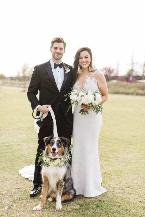 Wedding Pics With Dogs, Wedding Picture With Dog, Wedding Poses With Dog, Bride And Groom Pictures With Dog, Bride And Groom With Dog, Wedding Dog Photos, Wedding Photo With Dog, Wedding Pictures With Dogs, Wedding Photos With Dogs