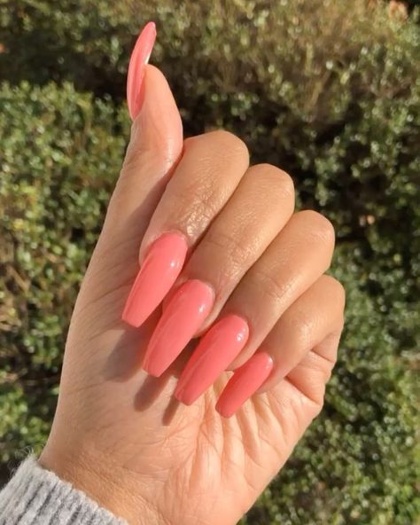 Salmon Pink Nails, Pink Gel Polish, Pink Gel, S Nails, Salmon Pink, Pink Nails, Gel Polish, Ramen, Lavender