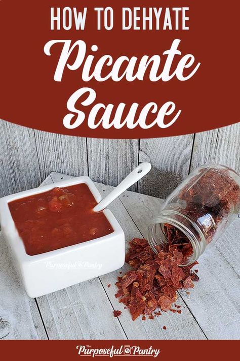 Make the most of your Picante sauce with these dehydrated Picante sauce chips. Easy to do and fun to add as a tangy topping on ramen, tacos, and more! #picantesauce #dehydratedsalsa #thepurposefulpantry Storing Food Long Term, Dehydrating Food Storage, Food Dehydration, Raw Dessert Recipes, Picante Sauce, Dehydrated Vegetables, Hiking Food, Long Term Food Storage, Dehydrated Fruit