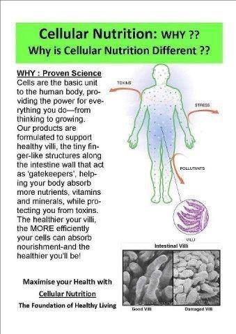 Cellular Nutrition! Herbal Life Nutrition, Herbalife Shake Nutrition Facts, Herbalife Wellness Evaluation, Cell U Loss Herbalife Results, Herbalife Quotes, Herbalife Nutrition Facts, Cellular Nutrition Herbalife, Cellular Healing, Herbalife Tips